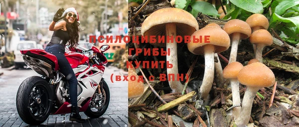 МДПВ Белокуриха