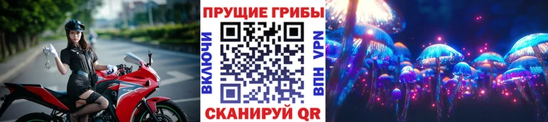 Галлюциногенные грибы прущие грибы  как найти наркотики  Малая Вишера 